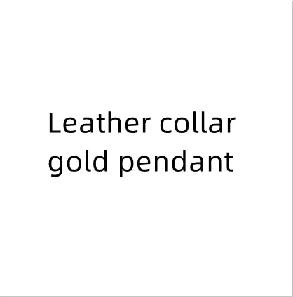 Fashion Titanium Steel Necklace