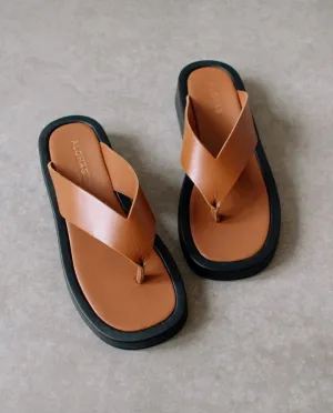 Overcast Tan