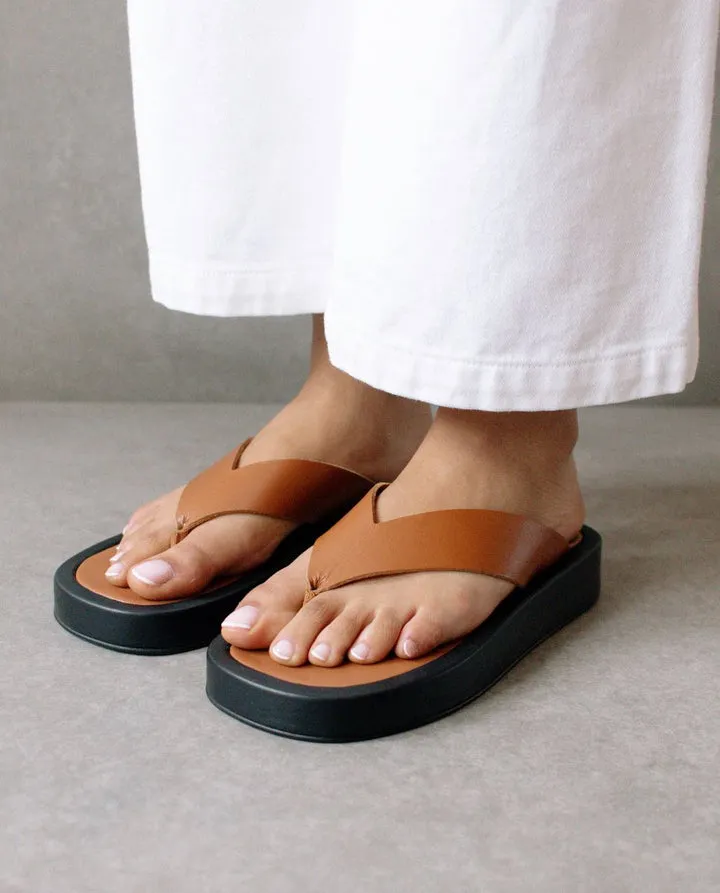 Overcast Tan